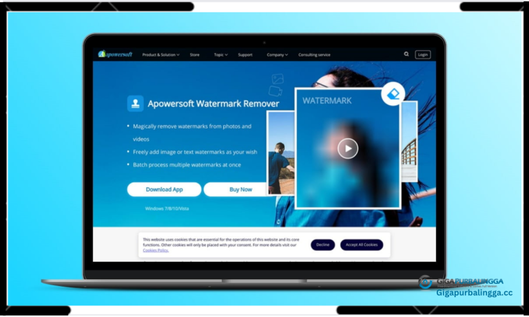 Apowersoft Watermark Remover Free Download 24