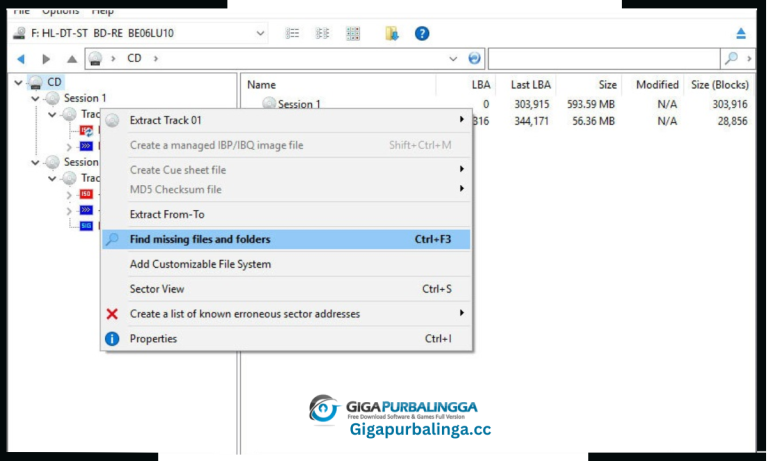 IsoBuster Pro 4 9 Crack Download