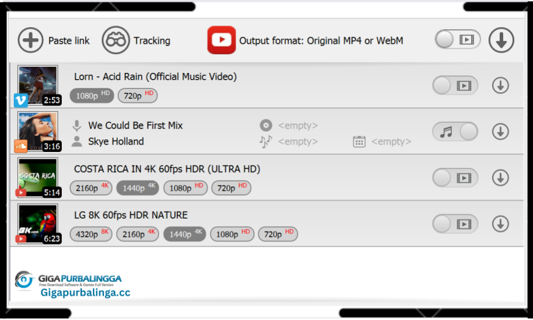 Mediahuman Youtube Downloader Gigapurbalinga