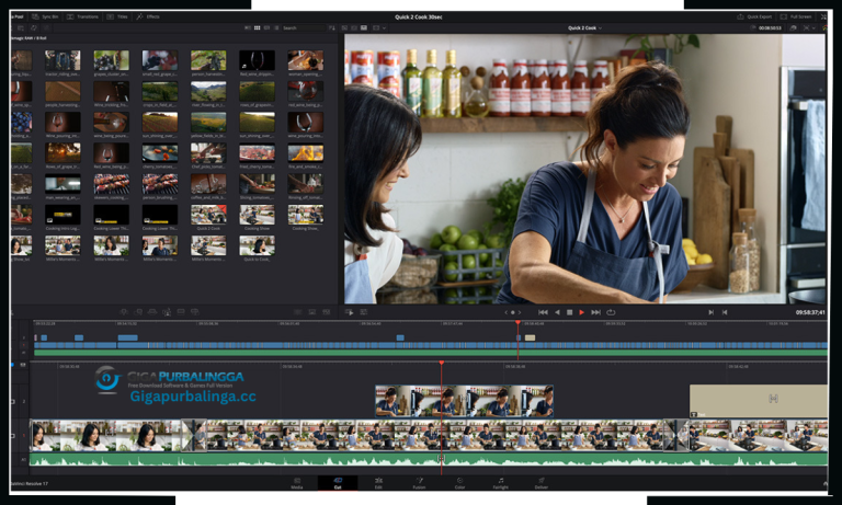 Davinci Resolve Studio 19 Download