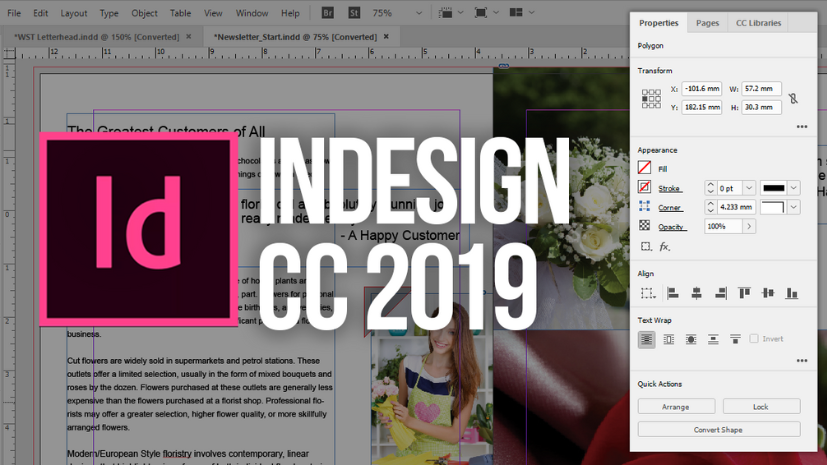 Adobe Indesign CC 2019 For Mac 