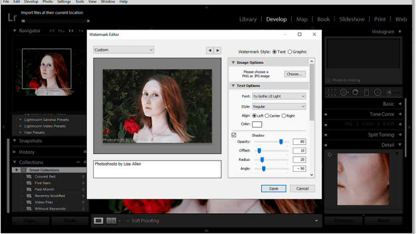 Arclab Watermark Studio Full Download