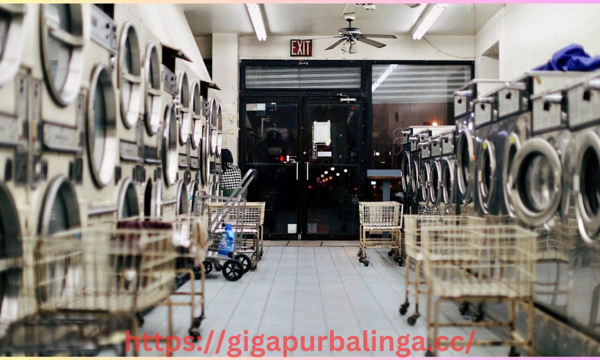 Laundry Room Dilemma Full Version Download