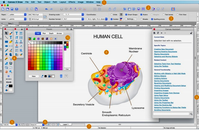 Canvas X Pro For PC 