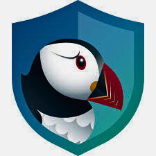 Puffin Secure Browser updates 2025 free download