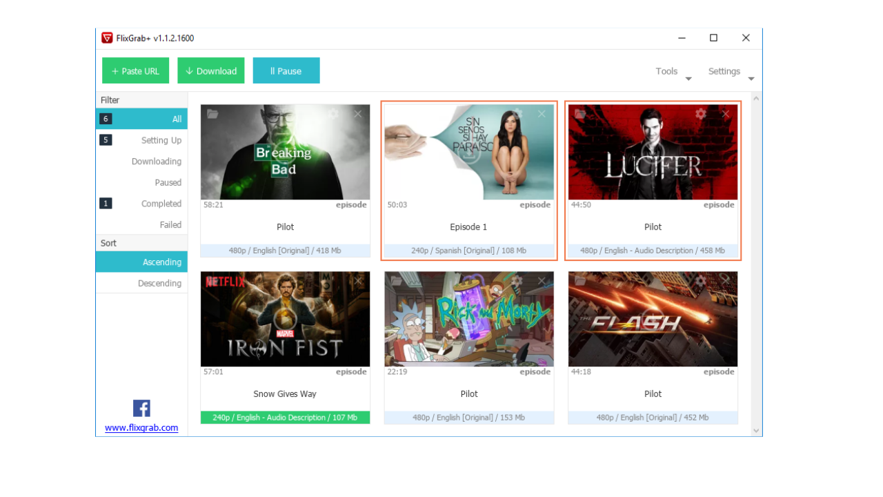 FlixGrab Plus Premium Free Download 