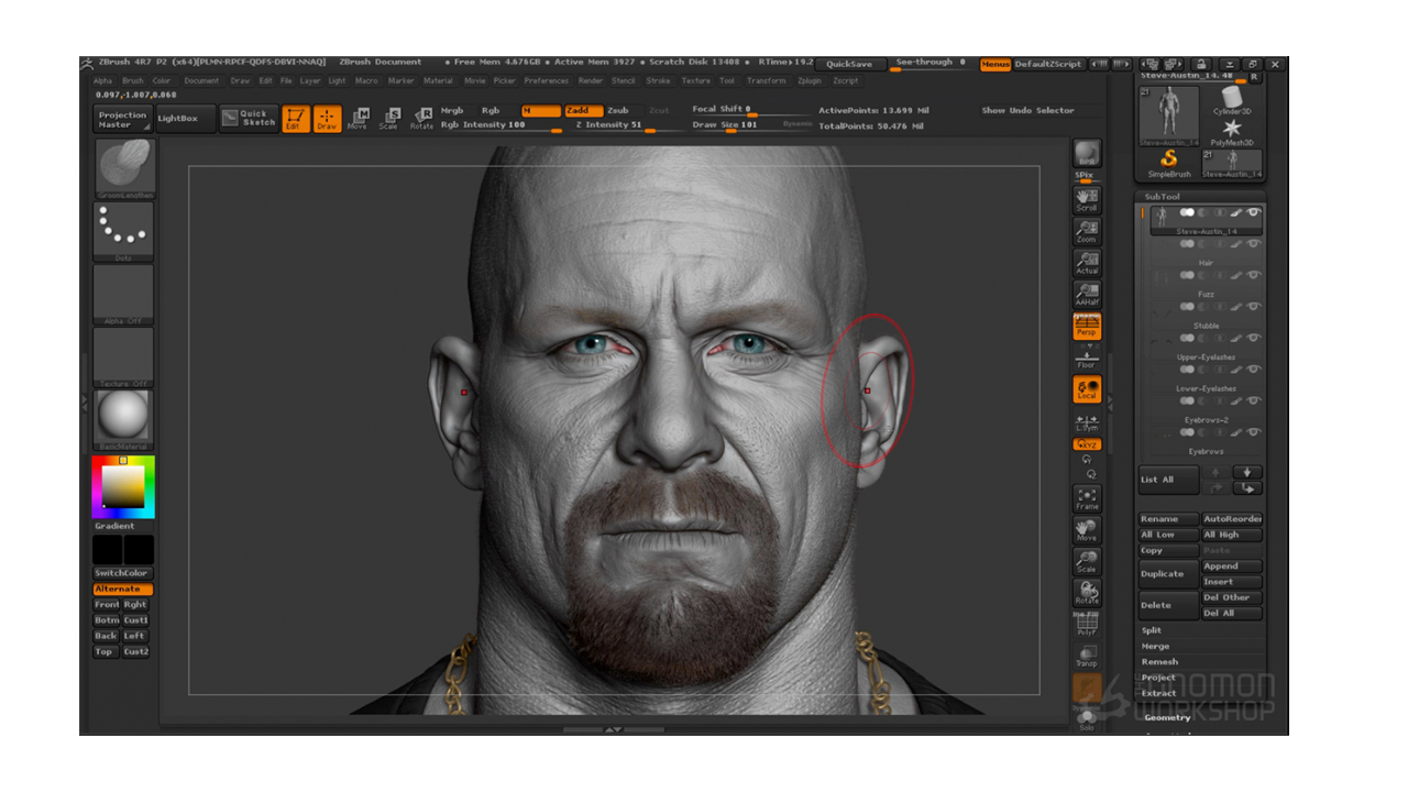 Pixologic ZBrush 