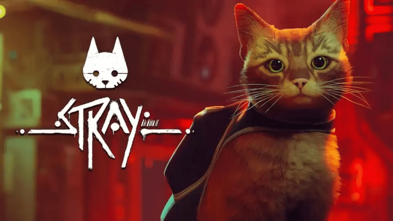 Stray PC Game Free Download Full Version
