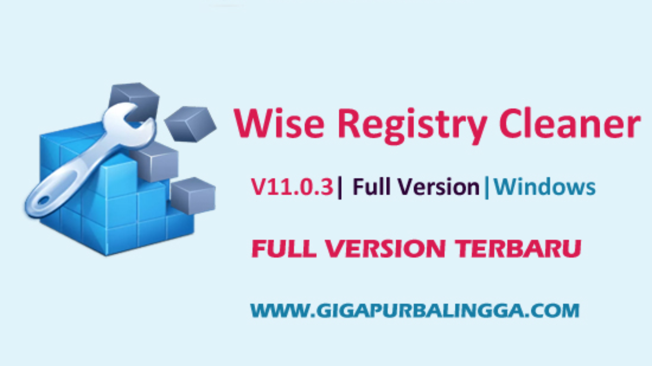 Wise Registry Cleaner Pro v11.0.3 Full Version